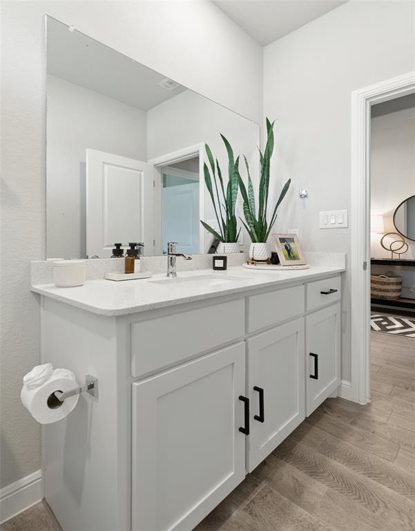 712 Finchley Drive Fort Worth, TX 76247 - Photo 27 of 37 a bathroom with a sink a mirror and a potted plant