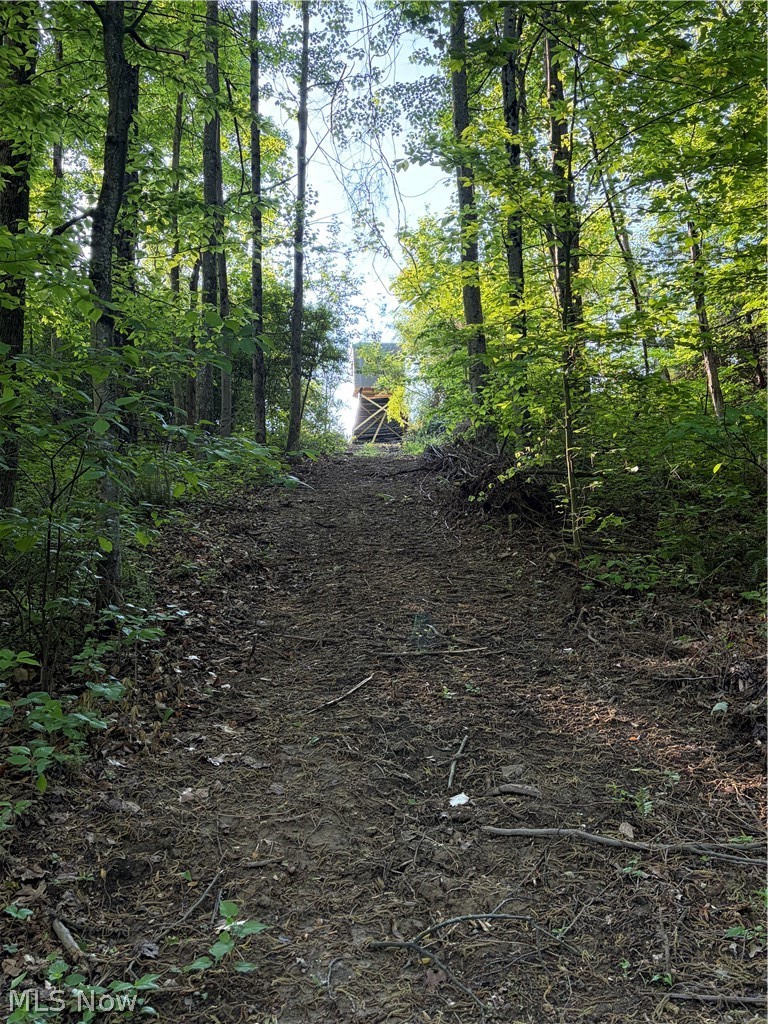 Crum Ridge Road Caldwell, OH 43724 - Photo 14 of 50