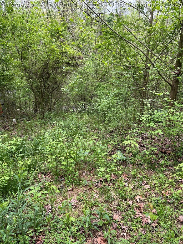 261 Poca River Road Charleston, WV 25312 - Photo 7 of 9 Gallery Image 7