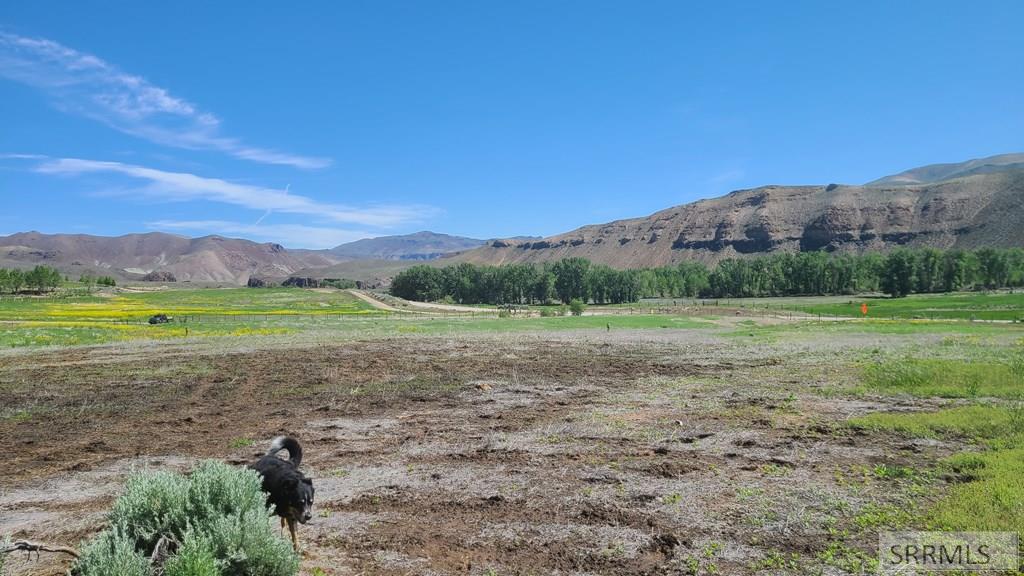 5 Homestead Trail Challis, ID 83226 - Photo 19 of 23