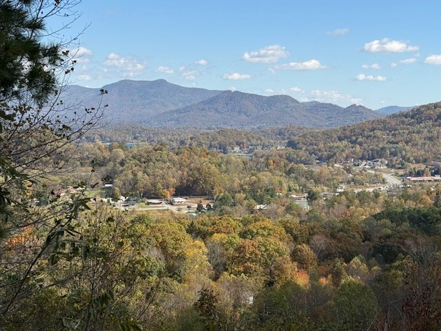 Lot 18 Vista Loop Young Harris, GA 30582 - Photo 2 of 6 a view of a bunch of trees in a field