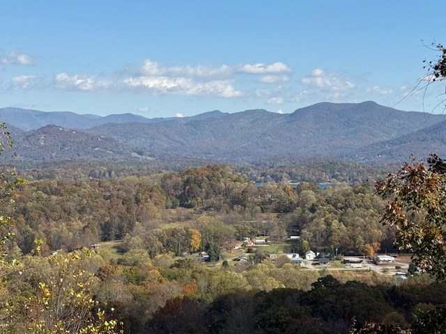 Lot 18 Vista Loop Young Harris, GA 30582 - Photo 3 of 6 a view of mountain in the distance