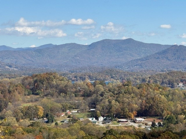 Lot 18 Vista Loop Young Harris, GA 30582 - Photo 6 of 6 a view of a city