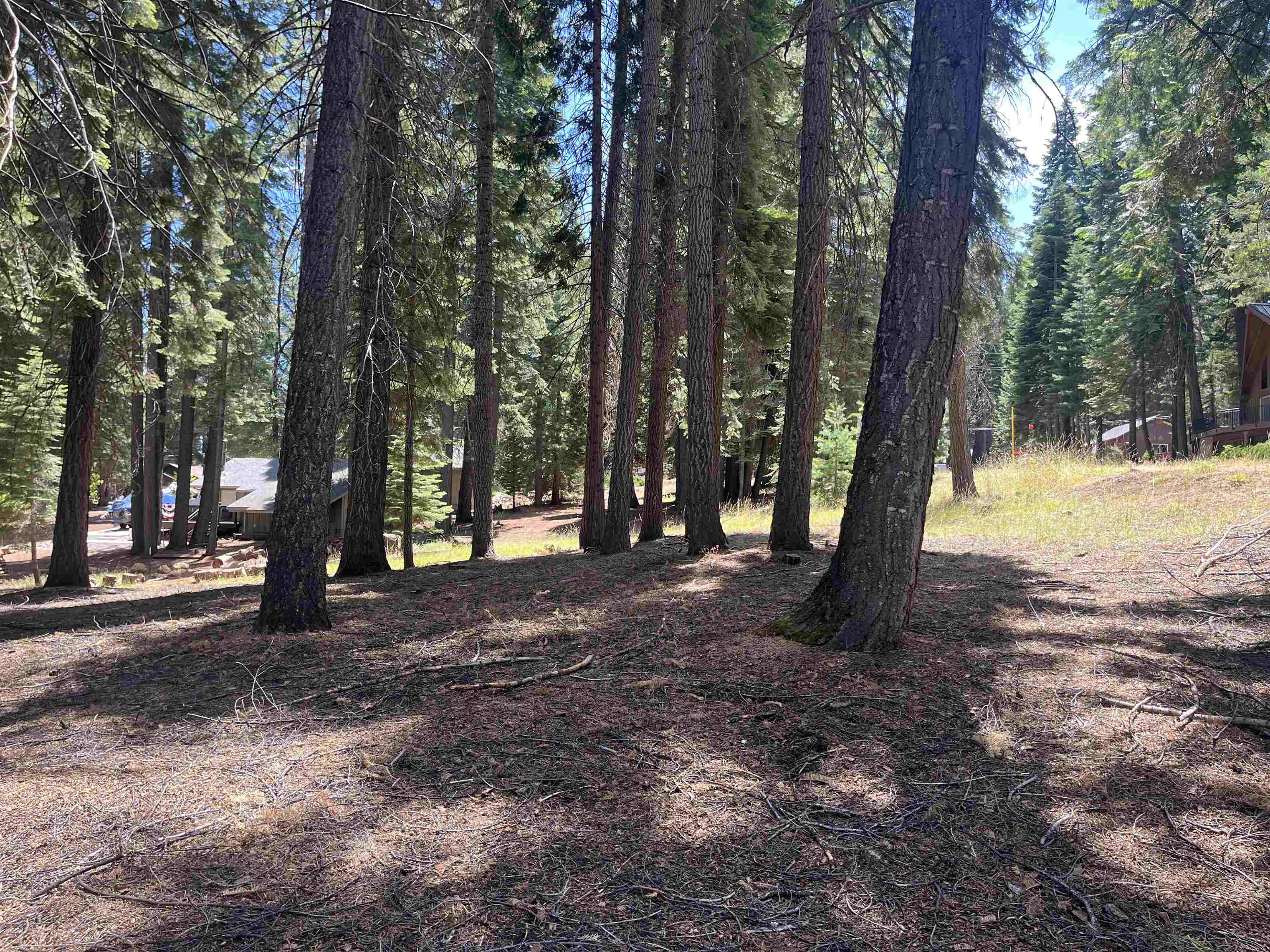 1160 Lake Ridge Road Lake Almanor, CA 96137 - Photo 1 of 9