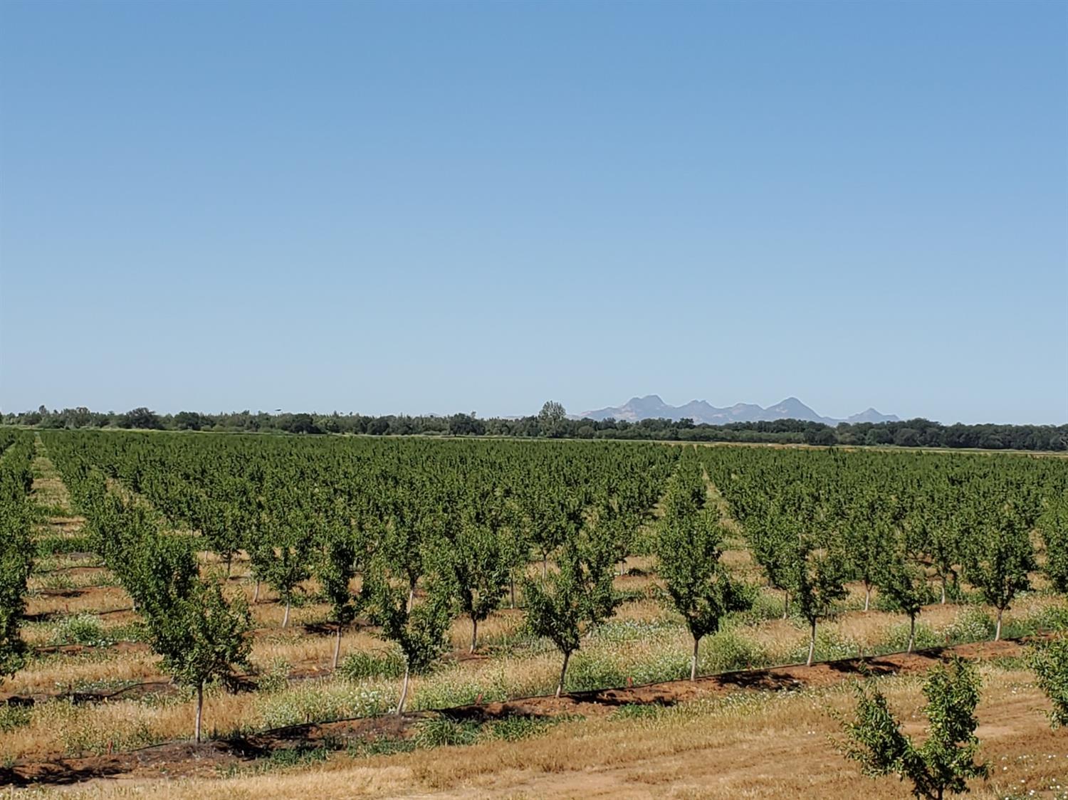 0 Ramirez Road Marysville, CA 95901 - Photo 1 of 1 Gallery Image 1