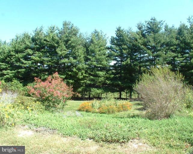 5716 Etzler Road Frederick, MD 21702 - Photo 3 of 29 a view of backyard with green space