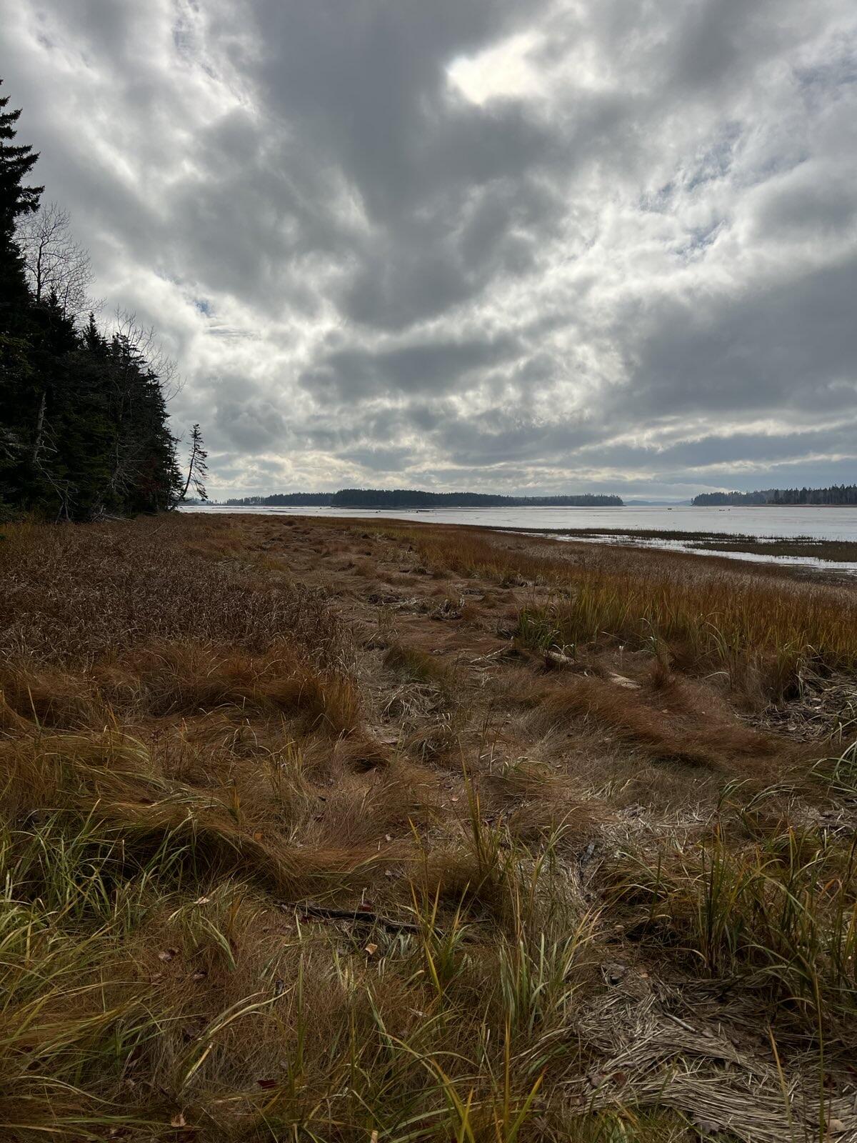 Lot 181 Rays Point Road Milbridge, ME 04658 - Photo 1 of 1 1000000655
