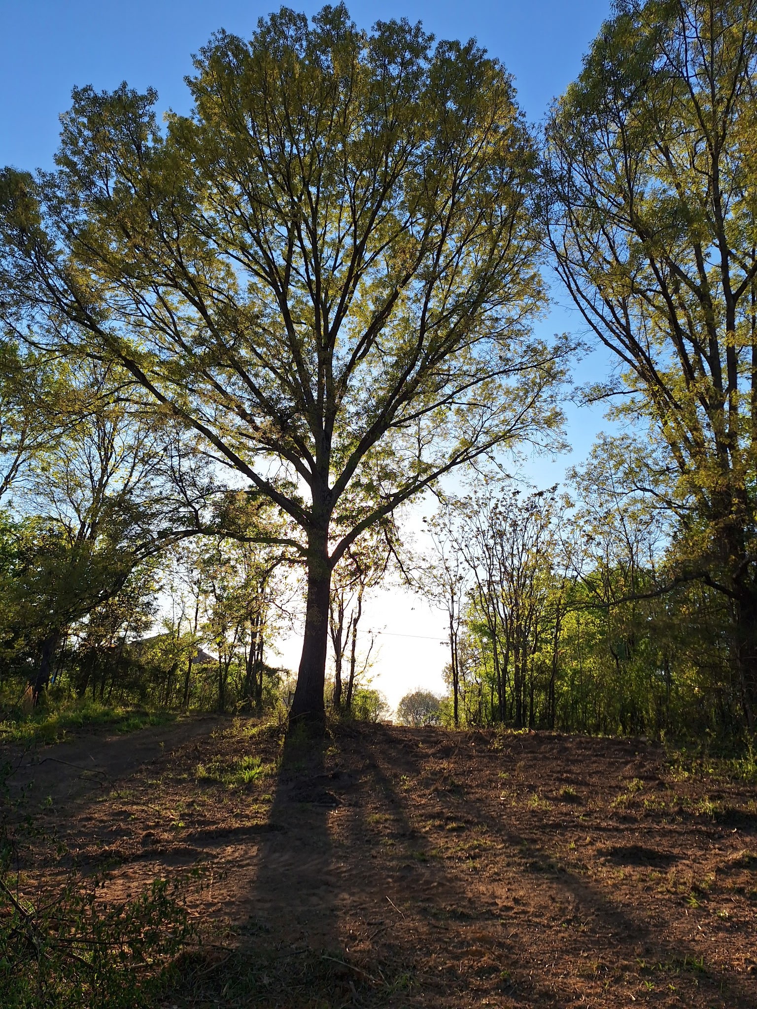 1 Bone Cave Road Rock Island, TN 38581 - Photo 1 of 9 Gallery Image 1