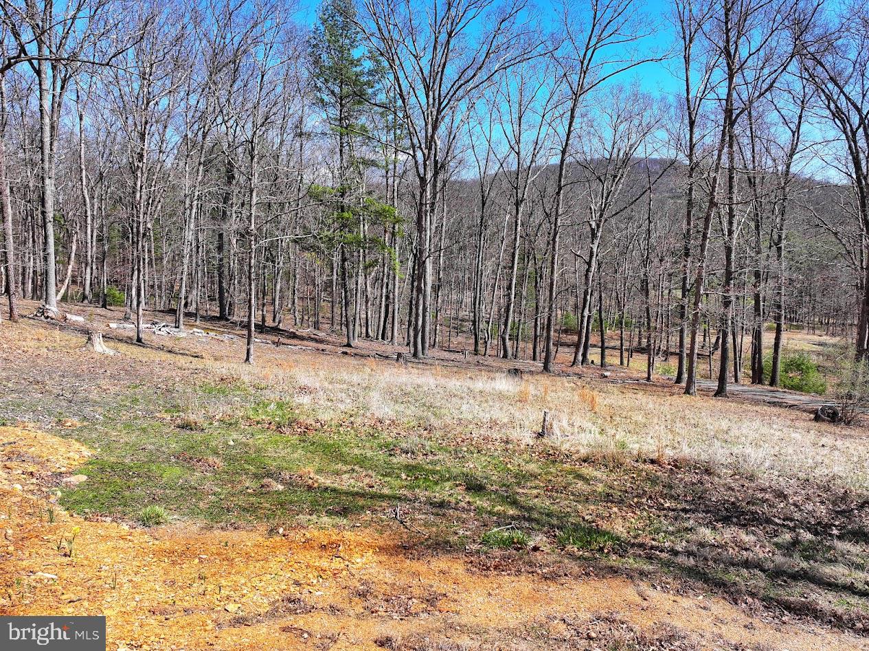 364 Valentine Acres Road Clearville, PA 15535 - Photo 43 of 99