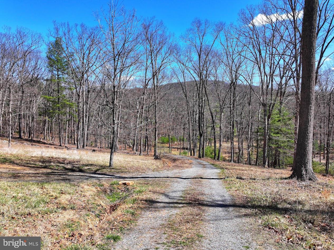 364 Valentine Acres Road Clearville, PA 15535 - Photo 45 of 99