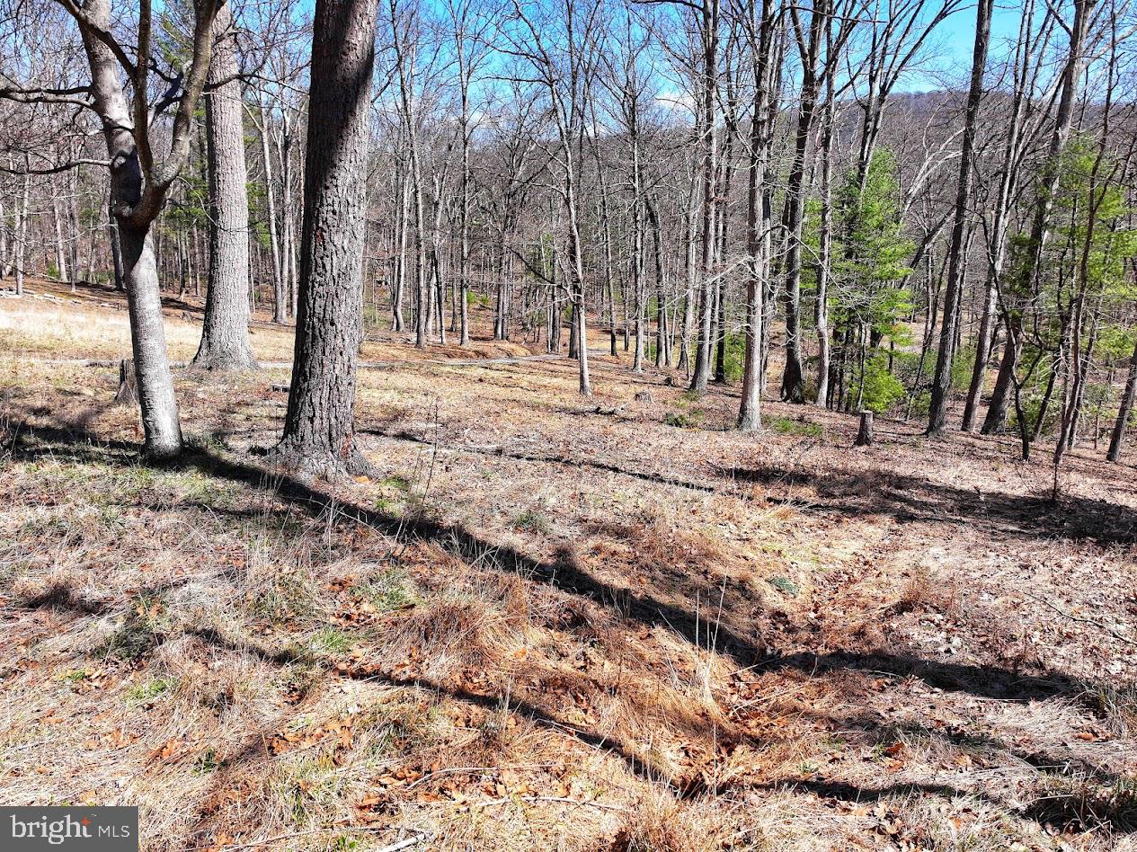 364 Valentine Acres Road Clearville, PA 15535 - Photo 47 of 99