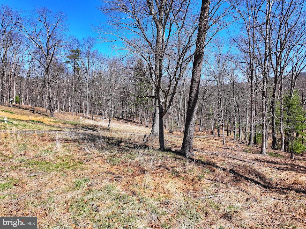 364 Valentine Acres Road Clearville, PA 15535 - Photo 48 of 99