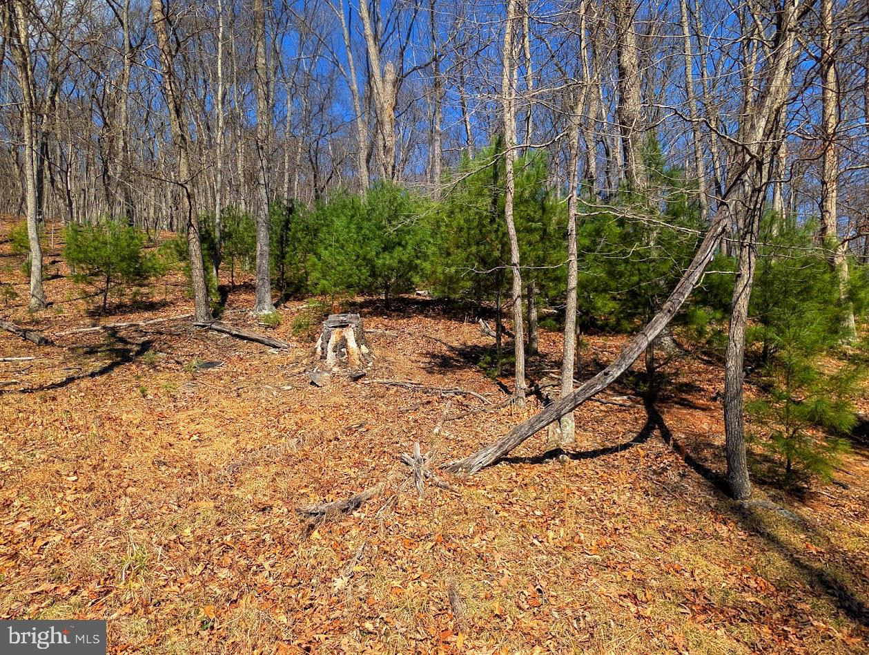 364 Valentine Acres Road Clearville, PA 15535 - Photo 57 of 99