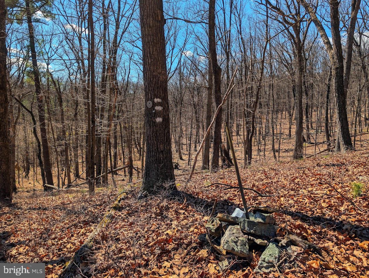 364 Valentine Acres Road Clearville, PA 15535 - Photo 58 of 99