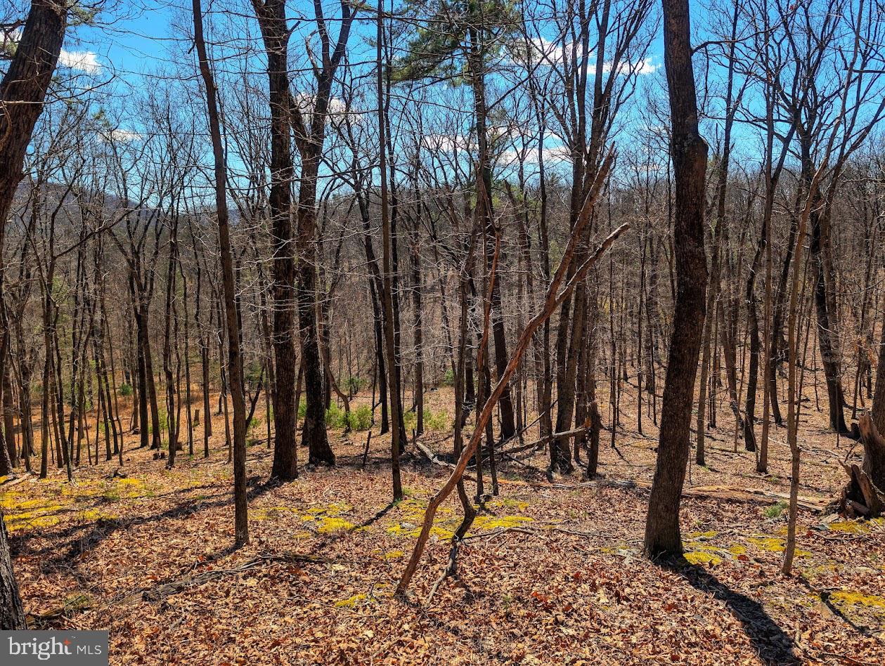 364 Valentine Acres Road Clearville, PA 15535 - Photo 59 of 99