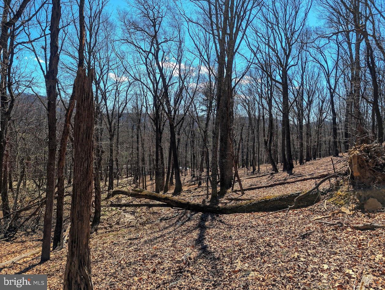 364 Valentine Acres Road Clearville, PA 15535 - Photo 60 of 99