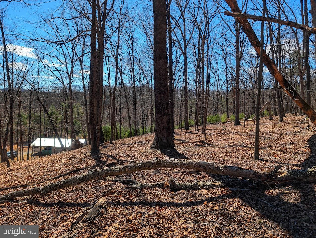 364 Valentine Acres Road Clearville, PA 15535 - Photo 61 of 99