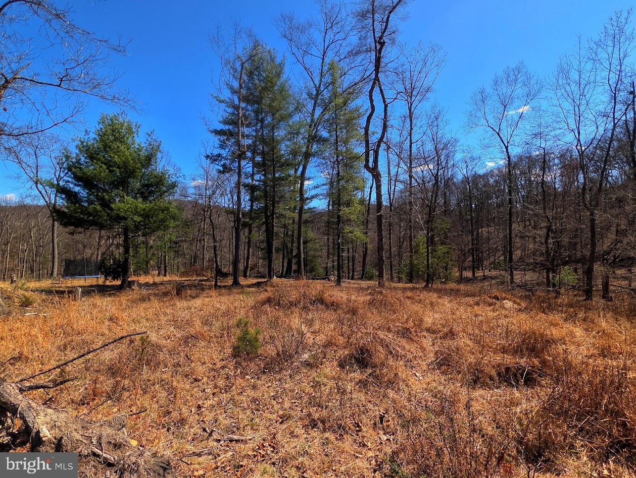 364 Valentine Acres Road Clearville, PA 15535 - Photo 70 of 99