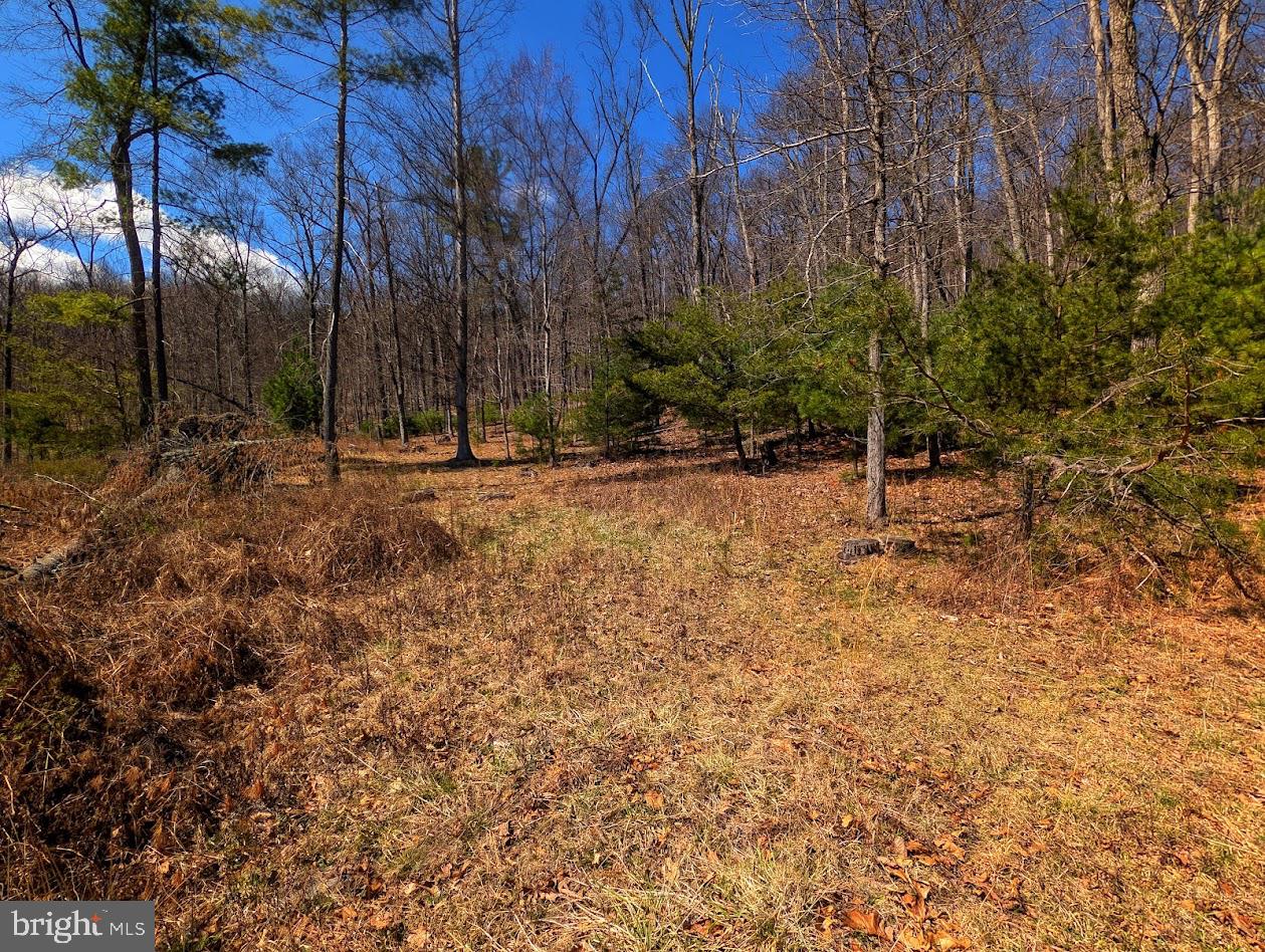 364 Valentine Acres Road Clearville, PA 15535 - Photo 71 of 99