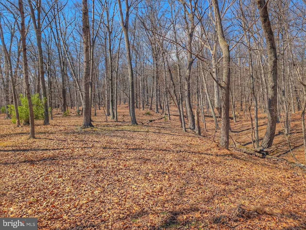 364 Valentine Acres Road Clearville, PA 15535 - Photo 77 of 99