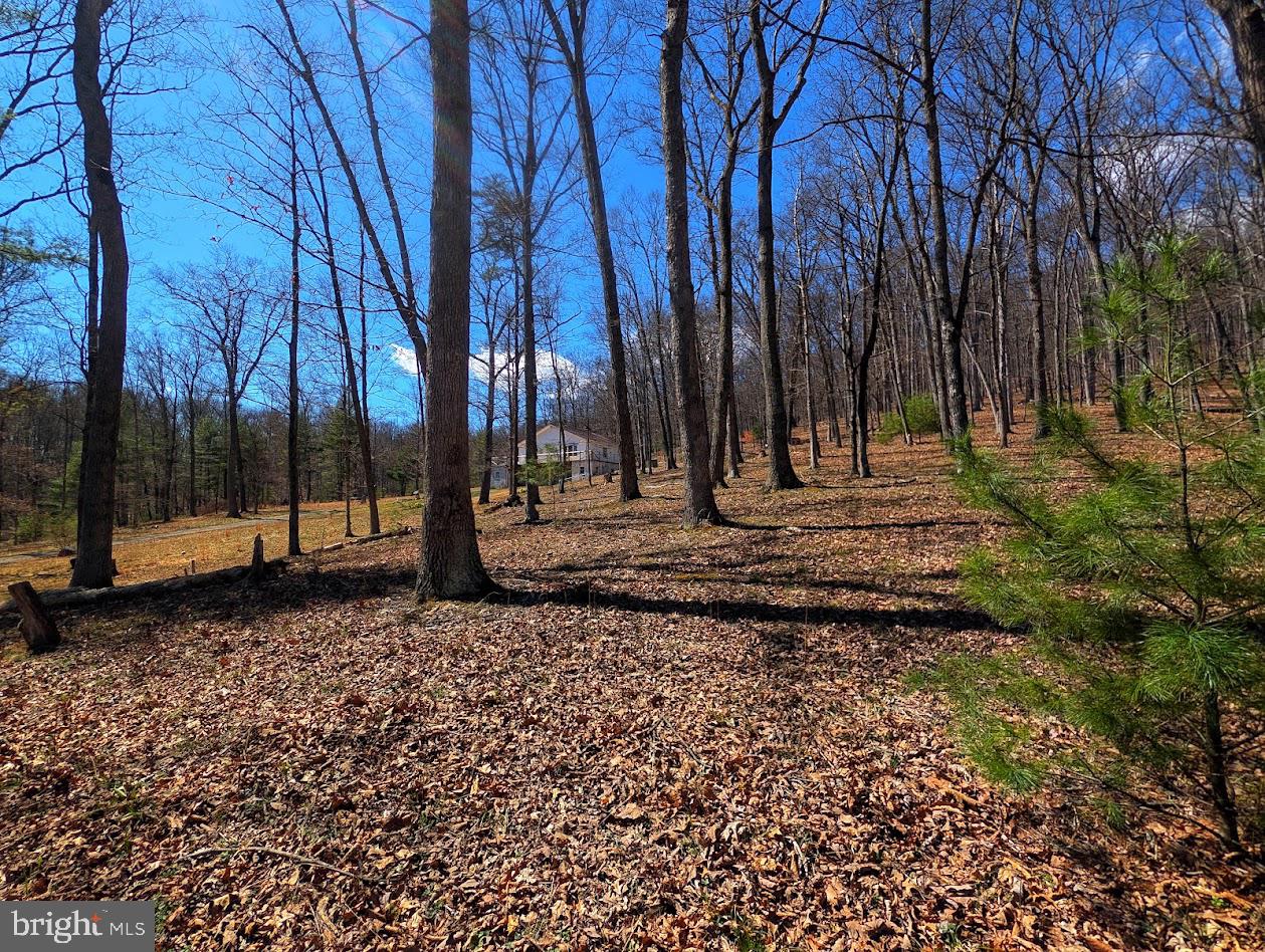 364 Valentine Acres Road Clearville, PA 15535 - Photo 78 of 99