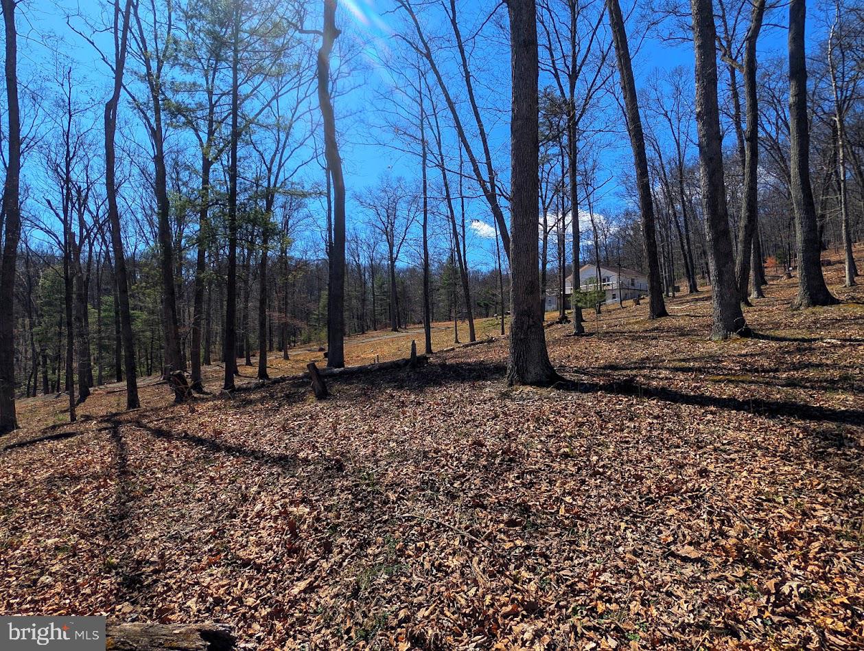 364 Valentine Acres Road Clearville, PA 15535 - Photo 79 of 99