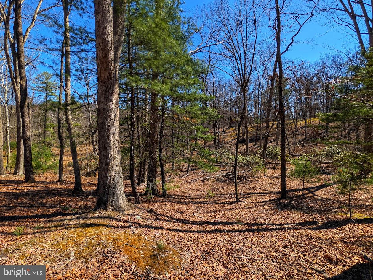 364 Valentine Acres Road Clearville, PA 15535 - Photo 80 of 99