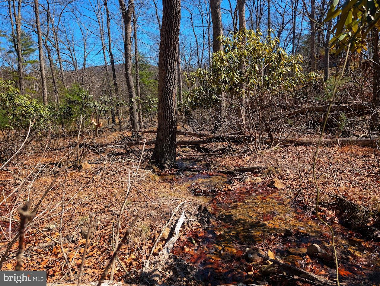 364 Valentine Acres Road Clearville, PA 15535 - Photo 82 of 99