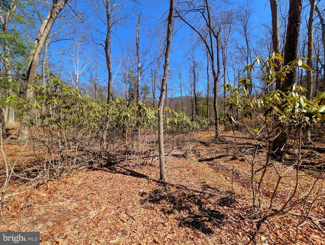 364 Valentine Acres Road Clearville, PA 15535 - Photo 83 of 99