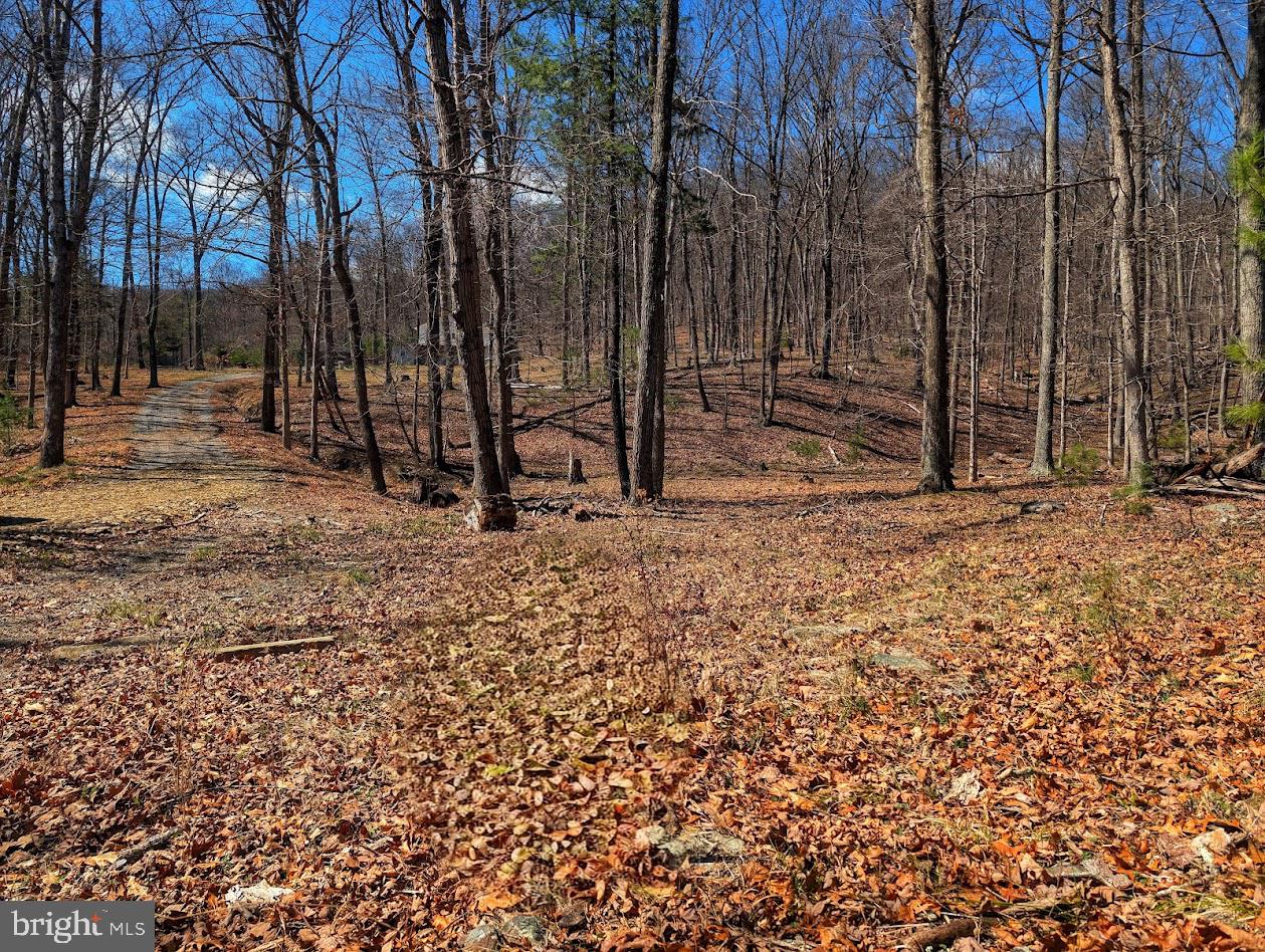 364 Valentine Acres Road Clearville, PA 15535 - Photo 86 of 99