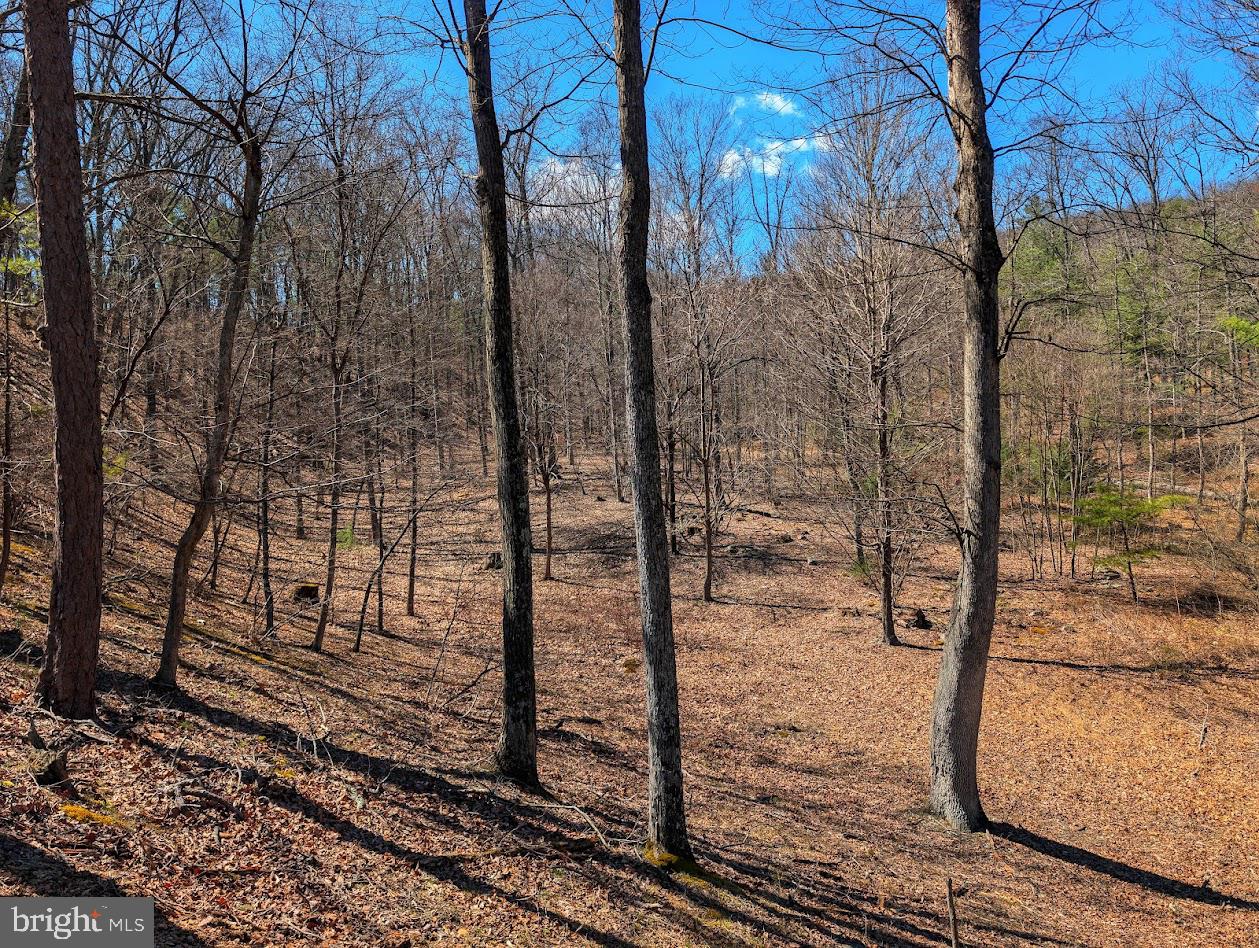 364 Valentine Acres Road Clearville, PA 15535 - Photo 90 of 99