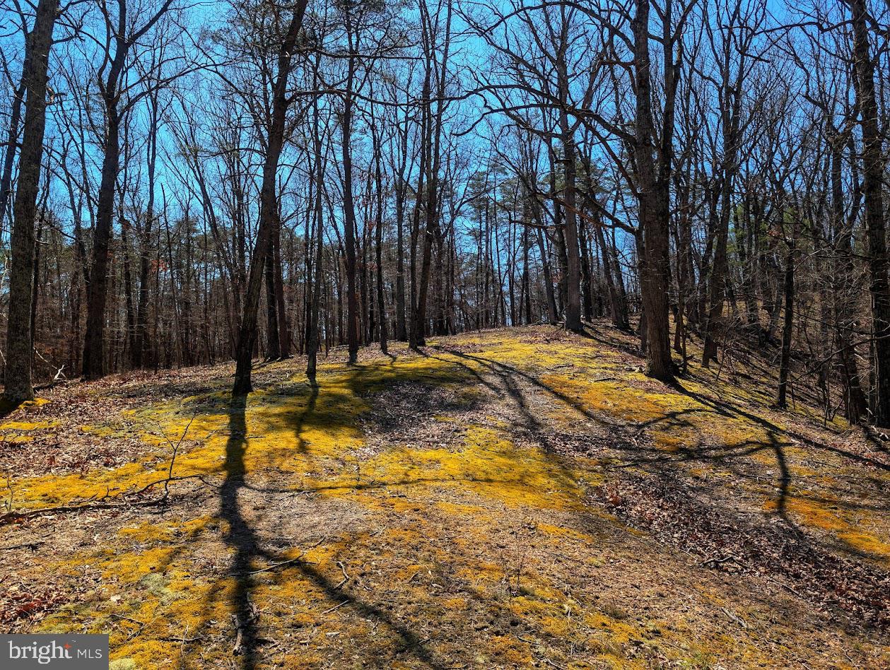 364 Valentine Acres Road Clearville, PA 15535 - Photo 92 of 99