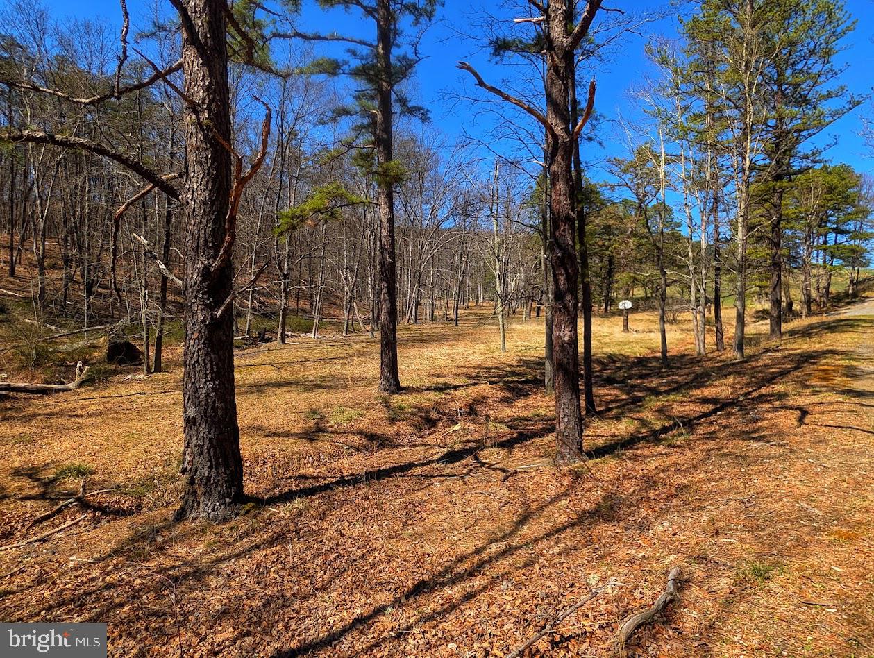 364 Valentine Acres Road Clearville, PA 15535 - Photo 94 of 99