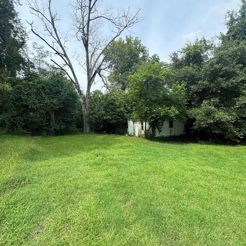 2211 8th Street Columbus, GA 31906 - Photo 2 of 13