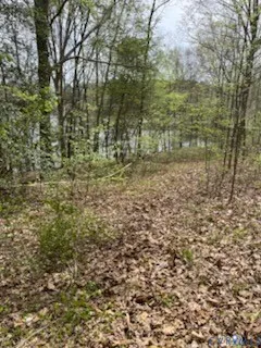 $58,000 | 24 Wilson Creek Lane, Lawrenceville, VA 23868