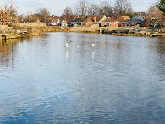 $1,775 | 2256 Lake Springs Lane, Memphis, TN 38016