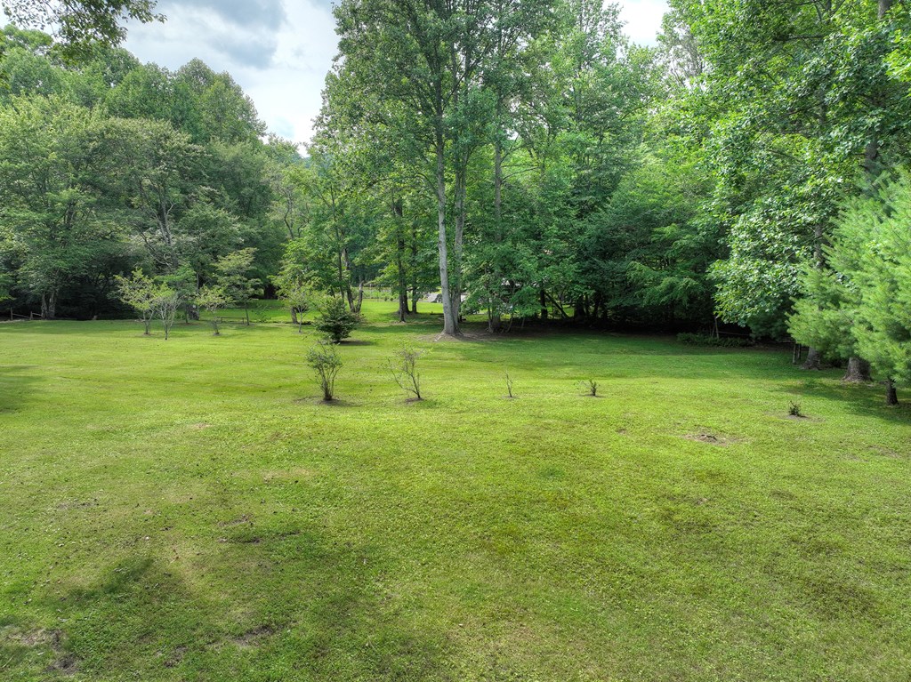 211 Rockhouse Road Cherry Log, GA 30522 - Photo 44 of 60