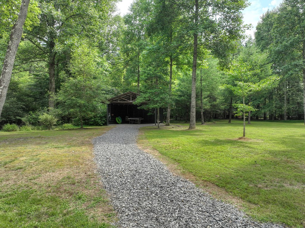 211 Rockhouse Road Cherry Log, GA 30522 - Photo 45 of 60