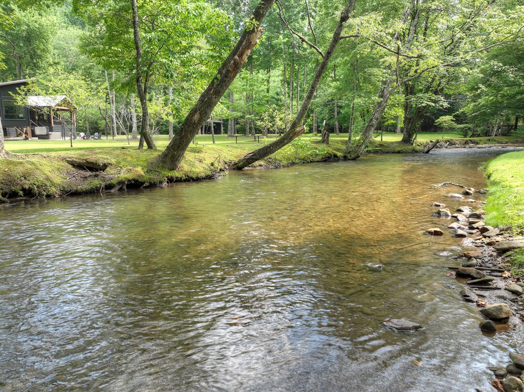 211 Rockhouse Road Cherry Log, GA 30522 - Photo 56 of 60