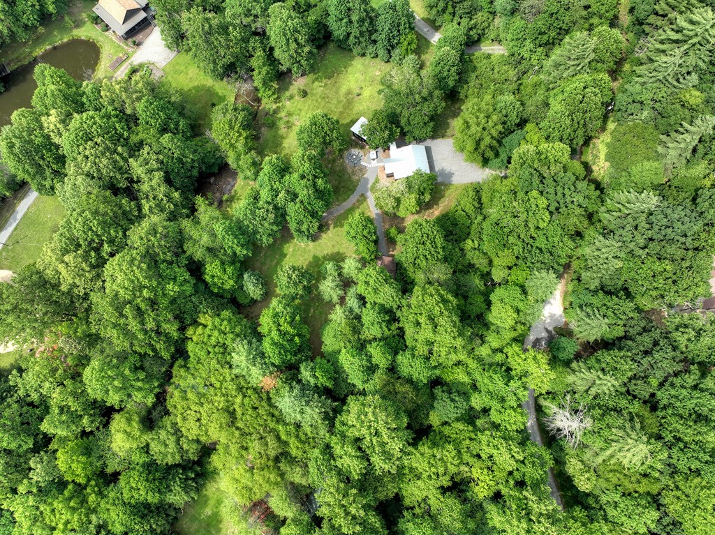 211 Rockhouse Road Cherry Log, GA 30522 - Photo 59 of 60