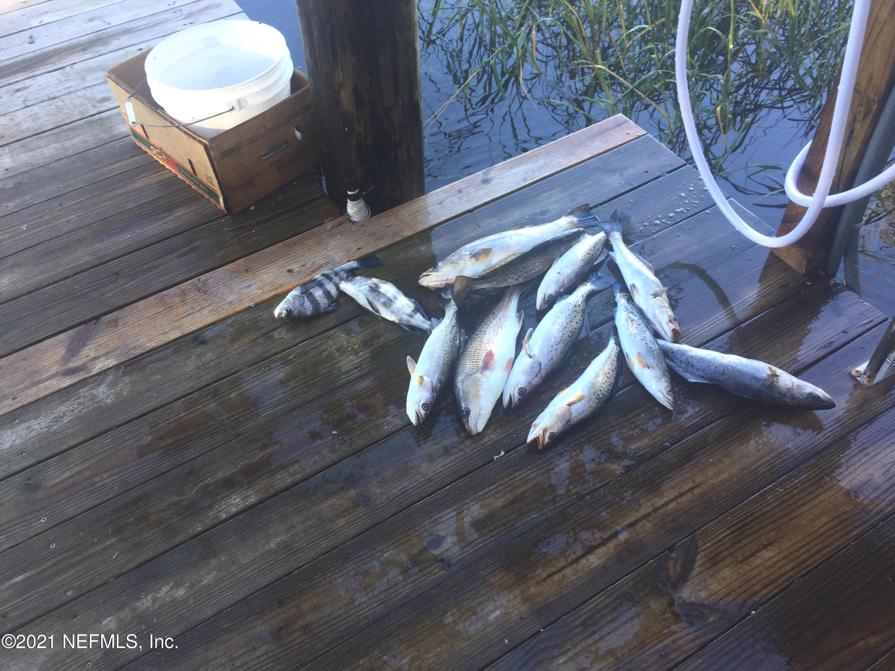 15740 Shark Road West Jacksonville, FL 32226 - Photo 4 of 29 Catch of the Day