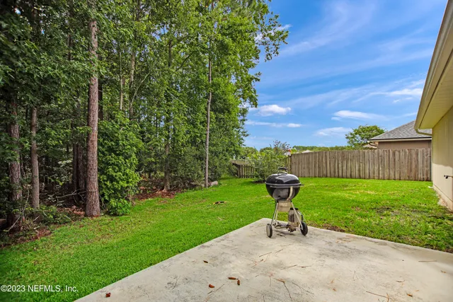 a view of a garden with plants