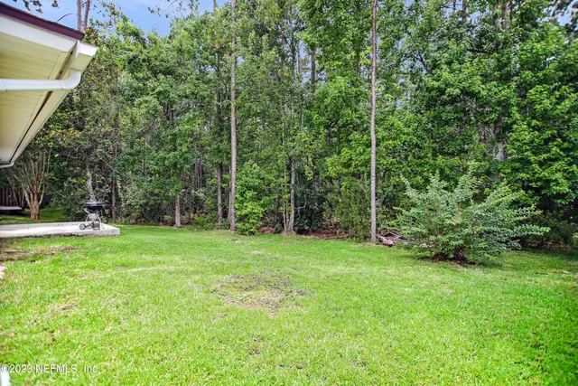 a view of a backyard with a trees