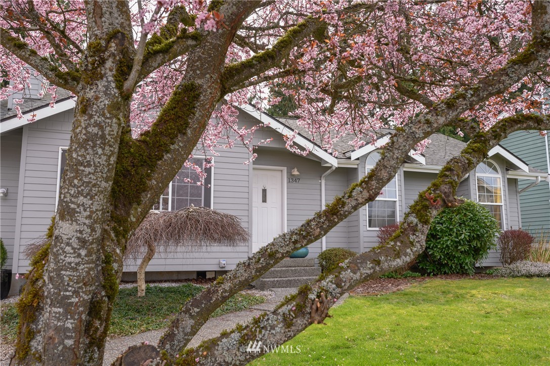1347 Roma Road Bellingham, WA 98226 - Photo 22 of 24
