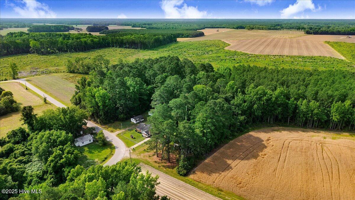 320 Dead End Road Enfield, NC 27823 - Photo 10 of 25 10-320 Dead End Rd-10