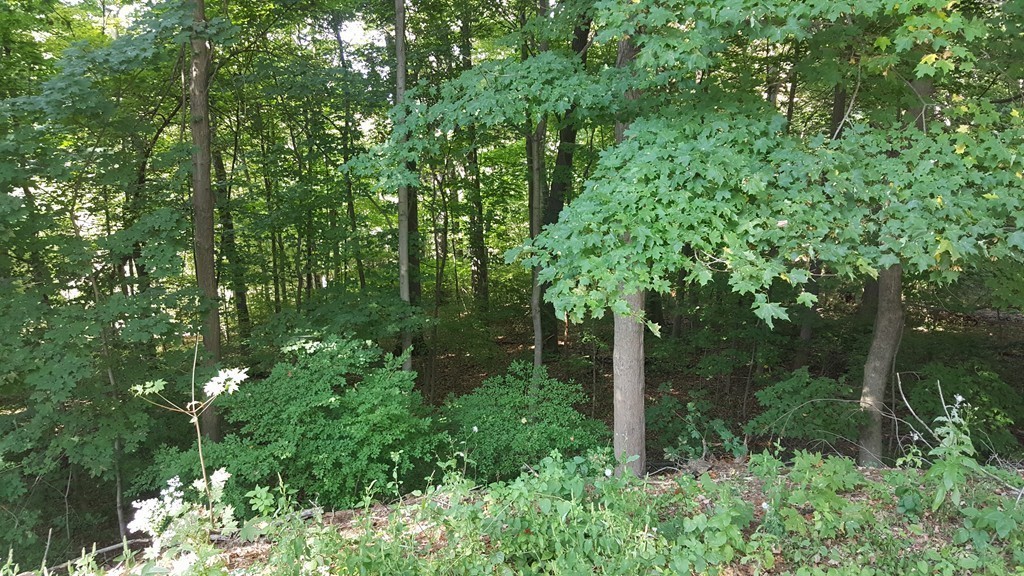 34 Eleanor Road Springfield, MA 01108 - Photo 22 of 24