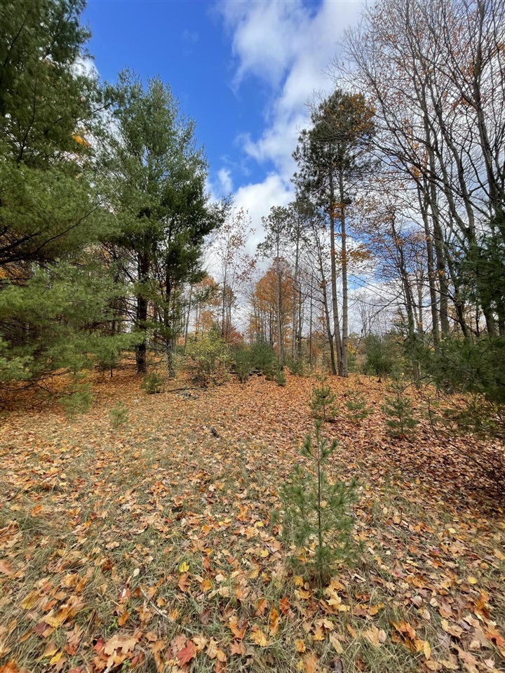 11 11 Mile Road Free Soil, MI 49411 - Photo 5 of 10