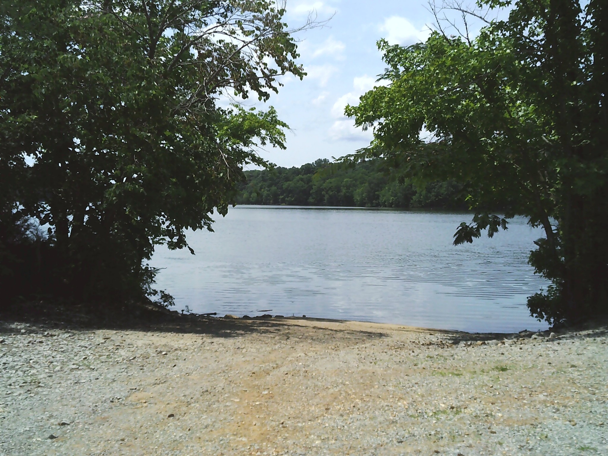 0 Hargis Road Bumpus Mills, TN 37028 - Photo 3 of 6