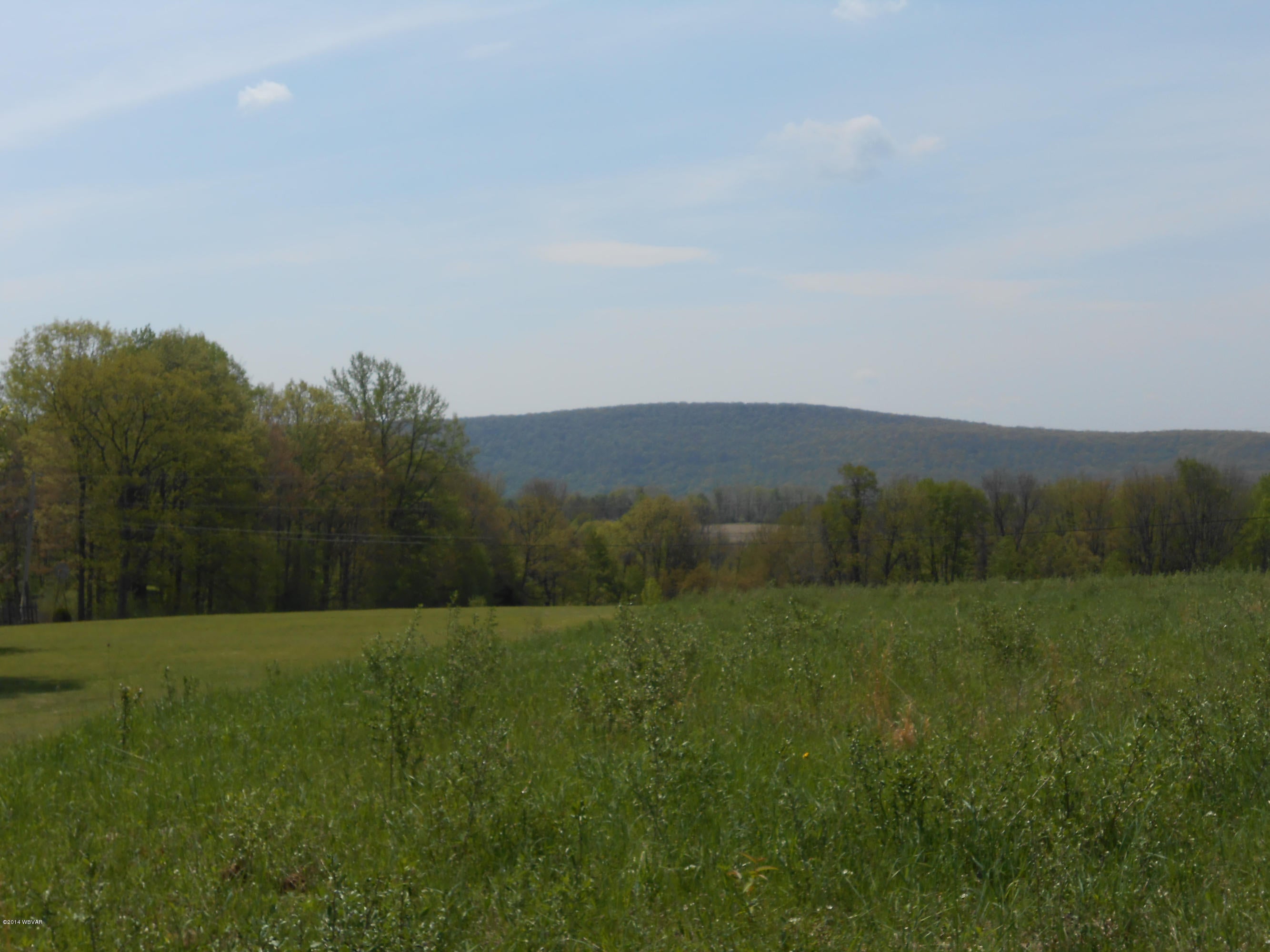 1498 Steam Valley Road Trout Run, PA 17771 - Photo 2 of 40 Front View