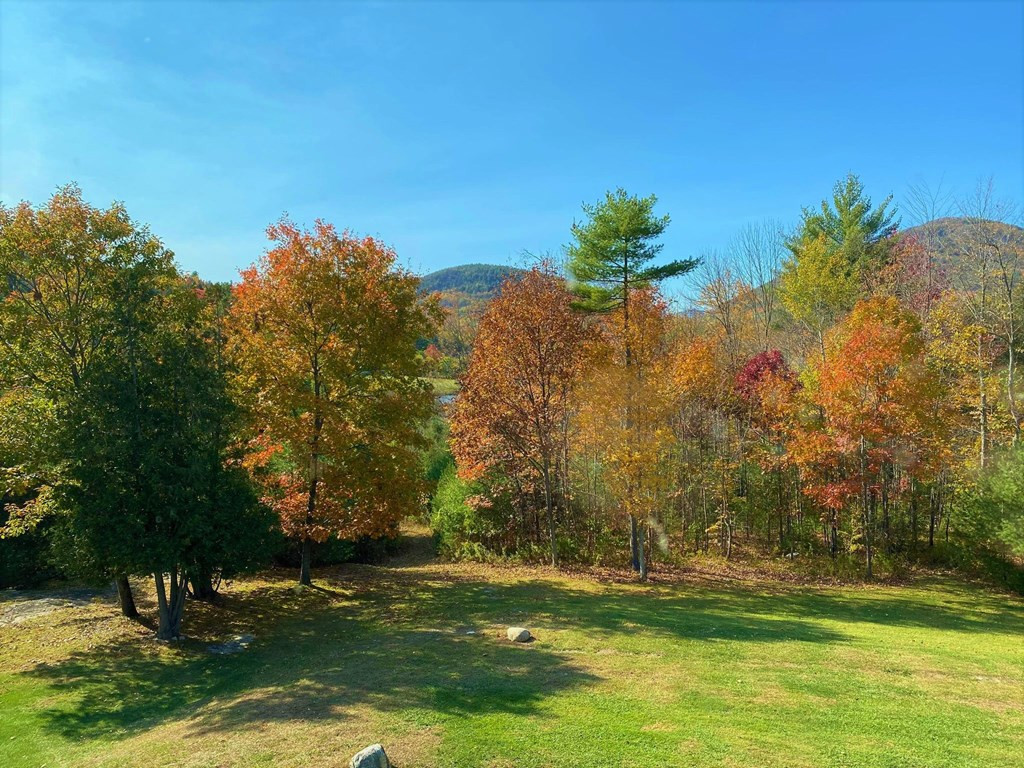 19 Boyle Road Westport, NY 12993 - Photo 55 of 58 Gallery Image 55